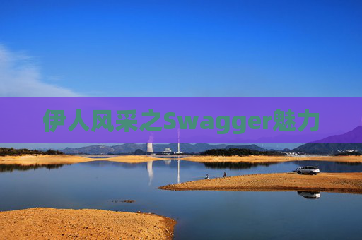 伊人风采之Swagger魅力