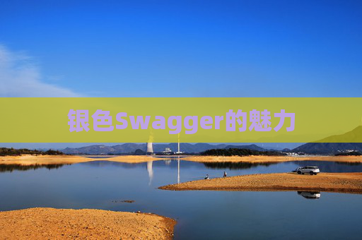 银色Swagger的魅力